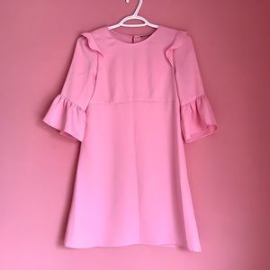 Zara Pink Ruffled Mini Dress